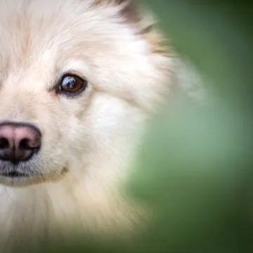 陈韵